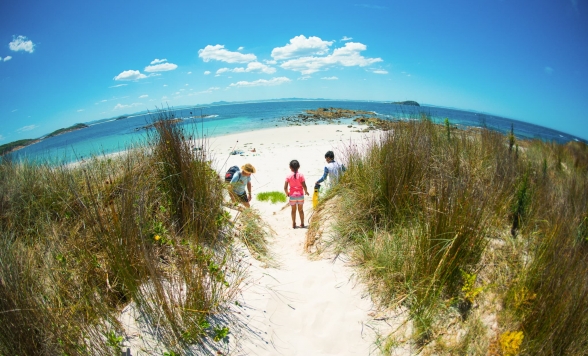 フィンガル島灯台ハイキング＆ラグーン探検ツアー